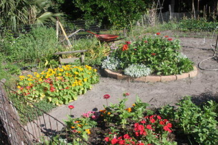 Purchasing Land for Self-Sufficiency? Here are a Few Considerations Image